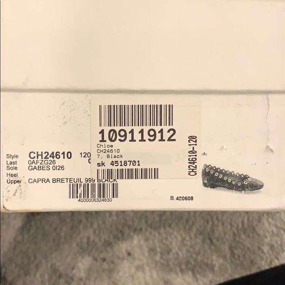 Chloè Gramet Ballet Flat - Picture 2 of 8